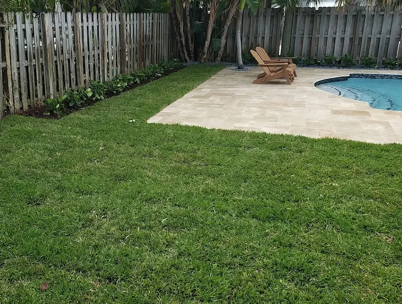 Fresh sod installation showing lush green lawn transformation
